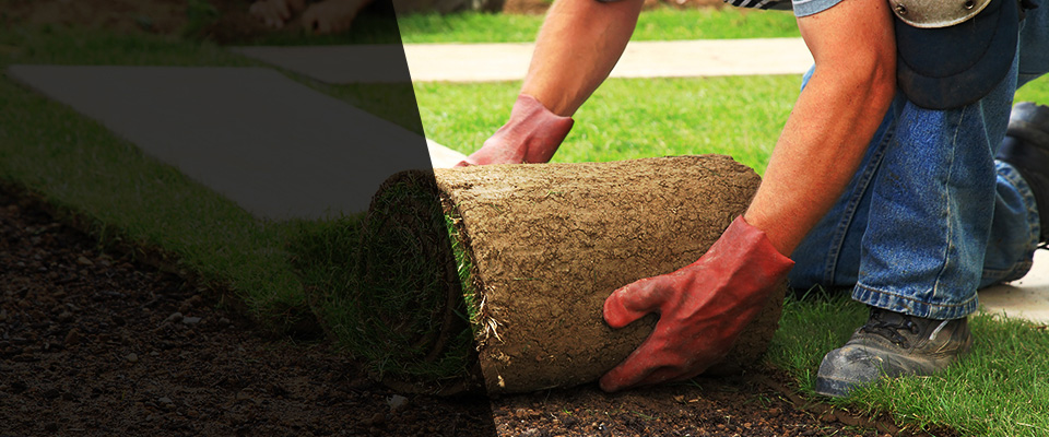 Shrewsbury Landscapers